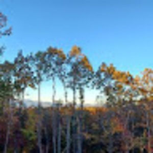 Meet your Posher, Juan